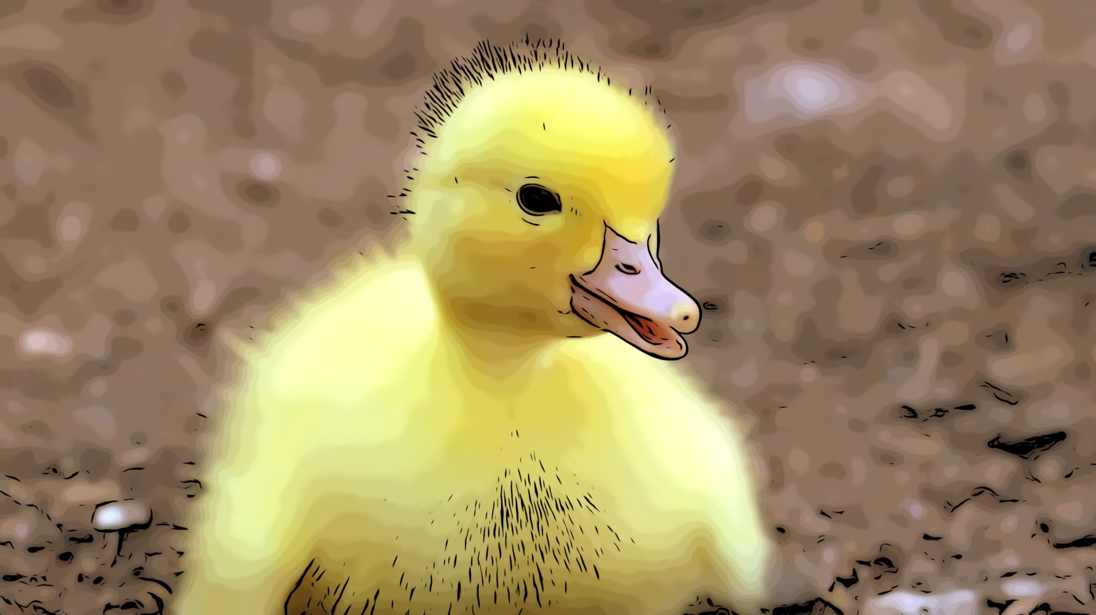 Duck header comic