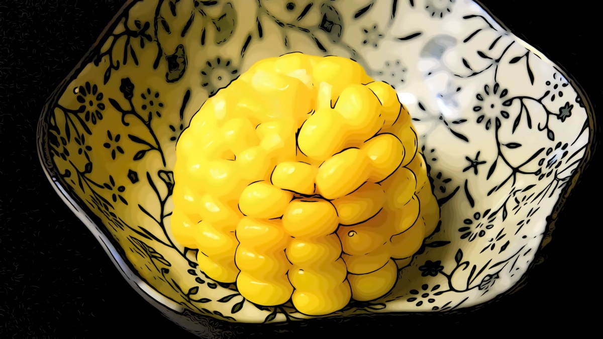 Sweet Corn 😋